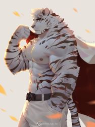 Rule 34 | 1boy, abs, animal ears, arknights, backlighting, bara, belt, biceps, bulge, cowboy shot, from side, furry, furry male, hand in pocket, highres, holding, holding clothes, holding jacket, jacket, unworn jacket, large pectorals, looking at viewer, male focus, mountain (arknights), muscular, muscular male, navel, nipples, pants, pectorals, petals, profile, scar, scar across eye, scar on arm, scar on face, shan yao jun, topless male, short hair, solo, stomach, tail, thick eyebrows, tiger boy, tiger ears, tiger tail, veins, white fur, white hair, white jacket, white pants