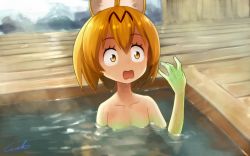 Rule 34 | 10s, 1girl, animal ears, blonde hair, cellval, collarbone, colored skin, commentary, green skin, hair between eyes, kemono friends, looking at hand, nude, onsen, open mouth, partially submerged, serval (kemono friends), short hair, signature, solo, source quote, surprised, transformation, water, wavy mouth, welt (kinsei koutenkyoku), wet, wet hair, wide-eyed, wooden floor, yellow eyes