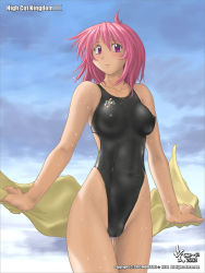 Rule 34 | 2003, asics, back cutout, beach towel, cameltoe, cleft of venus, clothing cutout, cloud, cloudy sky, competition swimsuit, covered erect nipples, high cut kingdom, highleg, highleg swimsuit, nyanko batake, one-piece swimsuit, pink hair, red eyes, sky, swimsuit, towel, wet