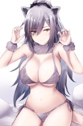 Rule 34 | 1girl, animal ears, arknights, bare arms, bare shoulders, bra, breasts, cat ears, claw pose, commentary request, grey bra, grey panties, hands up, highres, kousi sirazawa, large breasts, long hair, looking at viewer, navel, panties, schwarz (arknights), side-tie panties, silver hair, sitting, solo, stomach, underwear, underwear only, wrist cuffs, yellow eyes