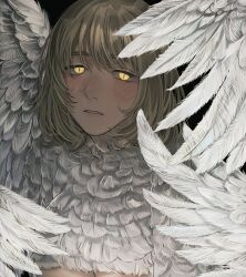Rule 34 | 1girl, black background, blonde hair, commentary, dungeon meshi, expressionless, falin touden, falin touden (chimera), feathered wings, feathers, glowing, glowing eyes, highres, looking at viewer, monster girl, parted lips, portrait, sasakura34, short hair, slit pupils, solo, spoilers, white wings, wings, yellow eyes
