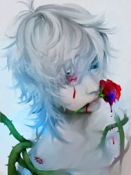 Rule 34 | 1boy, bleeding, blood, bunnywebb, close-up, cuts, flower, flower in mouth, green eyes, grey background, hair over one eye, injury, looking away, male focus, mouth hold, original, pale skin, plant, rose, silver hair, solo, thorns, vines