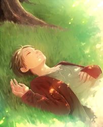 Rule 34 | 1boy, aged down, brown hair, brown jacket, closed eyes, eren yeager, grass, hand on own stomach, jacket, lace-up top, lying, parted bangs, parted lips, shingeki no kyojin, short hair, sleeping, solo, sunlight, takanamushi, tree, upper body