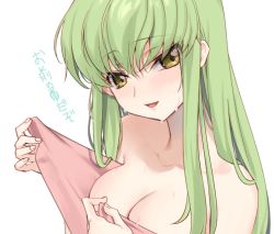Rule 34 | 1girl, blush, breasts, c.c., cleavage, code geass, creayus, green hair, long hair, looking at viewer, medium breasts, naked towel, open mouth, simple background, smile, solo, towel, translation request, upper body, wet, white background, yellow eyes