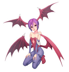 Rule 34 | 1girl, animal print, argyle, argyle clothes, argyle cutout, bat print, capcom, clothing cutout, demon girl, full body, head wings, iwai ryou, leotard, lilith aensland, low wings, pantyhose, print pantyhose, purple pantyhose, red leotard, simple background, solo, vampire (game), white background, wings