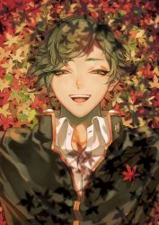 Rule 34 | 1boy, :d, autumn leaves, bad id, bad pixiv id, buttons, gakuran, green eyes, green hair, half-closed eyes, happy, leaf, looking at viewer, lying, male focus, maple leaf, on back, on ground, open mouth, school uniform, shade, smile, solo, swept bangs, touken ranbu, uguisumaru, upper body, user tufx3333