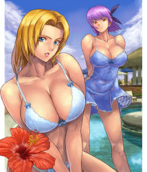 Rule 34 | 2girls, ayane (doa), bad id, bad pixiv id, blonde hair, blue bra, blue eyes, blue panties, bra, breasts, chemise, cleavage, dead or alive, dress, flower, hairband, ibanen, large breasts, lingerie, multiple girls, panties, purple hair, red eyes, short hair, swimsuit, tecmo, tina armstrong, underwear, underwear only, water