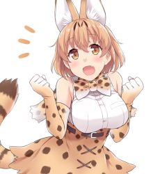 Rule 34 | 10s, 1girl, :d, :o, amane hasuhito, animal ears, bad id, bad pixiv id, bare shoulders, blonde hair, blush, bow, bowtie, breasts, cat ears, cat tail, clenched hands, elbow gloves, fang, gloves, hands up, kemono friends, looking at viewer, medium breasts, open mouth, serval (kemono friends), serval print, serval tail, short hair, simple background, skirt, sleeveless, smile, solo, tail, white background, yellow eyes