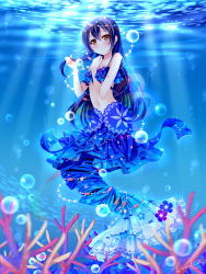 Rule 34 | 10s, 1girl, black hair, blurry, brown eyes, caustics, circlet, depth of field, fins, fish tail, full body, grandia bing, hair ornament, in water, long hair, looking at viewer, love live!, love live! school idol festival, love live! school idol project, mermaid, monster girl, navel, ocean, smile, solo, sonoda umi, submerged, tail, third-party source
