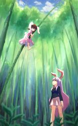 Rule 34 | 2girls, absurdres, animal ears, bamboo, bamboo forest, barefoot, brown hair, dress, closed eyes, forest, highres, inaba tewi, jacket, long hair, long sleeves, looking at another, looking up, multiple girls, nature, necktie, open mouth, pink dress, profile, puffy sleeves, purple hair, rabbit ears, rabbit girl, rabbit tail, red eyes, reisen udongein inaba, shiya, short hair, short sleeves, skirt, sleeping, sweatdrop, tail, touhou, very long hair