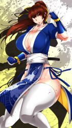 Rule 34 | 1girl, breasts, dead or alive, highres, huge breasts, kasumi (doa), long hair, ponytail