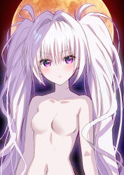 Rule 34 | 1girl, absurdres, blush, breasts, closed mouth, collarbone, full moon, hair between eyes, hair intakes, highres, long hair, looking at viewer, moon, navel, no nipples, nude, original, purple eyes, silver hair, small breasts, solo, tonchan, twintails, upper body, very long hair