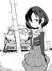Rule 34 | 1girl, arms at sides, arms behind back, blouse, car, car crash, commentary, frilled shirt, frilled skirt, frills, from side, greyscale, idolmaster, idolmaster cinderella girls, long sleeves, looking at viewer, looking to the side, monochrome, motor vehicle, niku-name, outdoors, shiragiku hotaru, shirt, short hair, skirt, smile, solo, standing, upper body, utility pole, vehicle focus