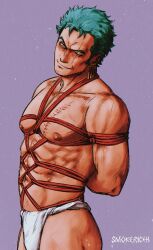 Rule 34 | 1boy, abs, arms behind back, bara, bdsm, bondage, bound, fundoshi, green hair, head tilt, highres, japanese clothes, large pectorals, looking at viewer, male focus, muscular, muscular male, navel, nipples, one piece, pectorals, red rope, rope, roronoa zoro, scar, scar across eye, seductive smile, short hair, smile, smokerichi, solo, stitches, sweat, topless male, underbust, v-shaped eyebrows