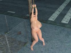 Rule 34 | 1girl, 3d, arms up, bdsm, blindfold, bondage, bound, bound wrists, breasts, completely nude, exhibitionism, gag, gagged, huge breasts, humiliation, knees together feet apart, legs together, nipples, nude, outdoors, outstretched arms, pole, public indecency