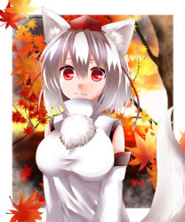 Rule 34 | 1girl, :3, animal ears, autumn leaves, bare shoulders, breasts, detached sleeves, fang, highres, inubashiri momiji, jio (nayutarooo), large breasts, leaf, looking at viewer, nature, pom pom (clothes), red eyes, short hair, silver hair, smile, solo, tail, touhou, tree, wolf ears, wolf tail