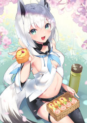 Rule 34 | 1girl, absurdres, ahoge, animal ears, bento, blush, bottle, braid, breasts, cherry blossoms, commentary request, detached sleeves, feeding, flower, food, fox ears, fox girl, fox tail, grass, hanami, highres, holding, hololive, long hair, looking at viewer, midriff, navel, nyasunyadoora, open mouth, outdoors, petals, shirakami fubuki, shirakami fubuki (1st costume), side braid, single thighhigh, sitting, skirt, small breasts, smile, solo, tail, thighhighs, virtual youtuber