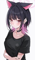Rule 34 | 1girl, animal ears, black choker, black hair, black shirt, blue archive, blush, cat ears, choker, closed mouth, colored inner hair, commentary, extra ears, halo, highres, kazusa (blue archive), looking at viewer, marisasu (marisa0904), medium hair, multicolored hair, pink hair, pink halo, red eyes, shirt, short sleeves, simple background, solo, symbol-only commentary, upper body, white background