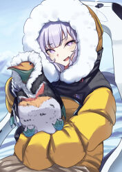 Rule 34 | 1girl, absurdres, animal, bird, blue archive, blush, day, fur-trimmed jacket, fur trim, gloves, highres, himari (blue archive), hood, hood up, jacket, kudo udon, long hair, long sleeves, looking at viewer, mole, mole under eye, open mouth, outdoors, penguin, purple eyes, sitting, smile, solo, white gloves, white hair, yellow jacket