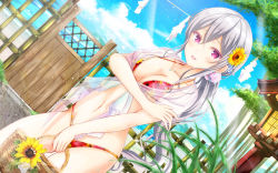 Rule 34 | 1girl, :d, bikini, blue sky, breasts, cleavage, cloud, collarbone, day, dutch angle, flower, girlfriend (kari), hair between eyes, hair flower, hair ornament, highres, jewelry, lens flare, long hair, masa (mirage77), medium breasts, navel, necklace, ocean, open mouth, outdoors, ponytail, red bikini, red eyes, see-through, shigeto akiho, silver hair, sky, smile, solo, sparkle, standing, sunflower, sunlight, swimsuit, very long hair, yellow flower