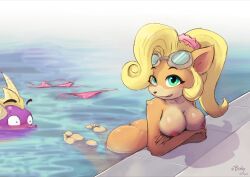 Rule 34 | 1girl, artist name, ass, bikini, biskydraws, blonde hair, blush, coco bandicoot, completely nude, crash bandicoot (series), crossed arms, crossover, feet, furry, furry female, goggles, goggles on head, green eyes, highres, long hair, looking at viewer, nipples, nude, partially submerged, pink bikini, ponytail, soles, spyro (series), spyro the dragon, swimsuit, toes, unworn bikini, unworn bikini bottom, unworn bikini top, water, watermark