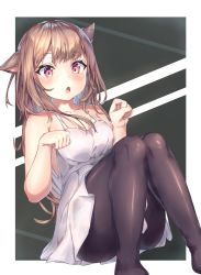Rule 34 | 1girl, :o, animal ears, armpit crease, ass, bare arms, bare shoulders, black background, black pantyhose, blush, breasts, brown hair, cat ears, clothes between thighs, collarbone, dress, hands up, highres, knees up, long hair, looking at viewer, mishuo (misuo69421), no shoes, original, pantyhose, parted lips, paw pose, red eyes, sitting, sleeveless, sleeveless dress, small breasts, solo, spaghetti strap, tareme, two-tone background, white background, white dress