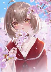 Rule 34 | 1girl, absurdres, ahoge, blush, braid, braided bangs, branch, brown eyes, brown hair, cherry blossoms, falling petals, floral print, gloves, highres, hololive, hololive english, japanese clothes, kimono, lace, lace gloves, looking at viewer, multicolored hair, nanashi mumei, nanashi mumei (new year), official alternate costume, open mouth, petals, print kimono, red shawl, shawl, short hair, streaked hair, tangdou0402, tree, virtual youtuber, white kimono, wide sleeves