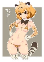 Rule 34 | 10s, 1girl, animal ears, animal print, bikini, blonde hair, bow, breasts, cat ears, cat tail, elbow gloves, extra ears, gloves, hands on own hips, highres, jaguar (kemono friends), jaguar ears, kemono friends, looking at viewer, medium breasts, mudou eichi, navel, short hair, simple background, smile, solo, standing, stomach, swimsuit, tail, thighhighs, yellow eyes