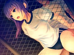Rule 34 | 1girl, asagiri luna, buruma, chain-link fence, clothed sex, coffee-kizoku, cum, cum in pussy, dutch angle, fence, from behind, game cg, girl on top, gym uniform, marble bloomers, non-web source, open mouth, outdoors, purple hair, reverse cowgirl position, sex, sex from behind, solo focus, straddling, sweat, vaginal