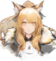 Rule 34 | 1girl, animal ears, arknights, armor, blemishine (arknights), blonde hair, breastplate, cape, fur-trimmed cape, fur trim, gnai, highres, horse ears, long hair, ponytail, portrait, white background, yellow eyes