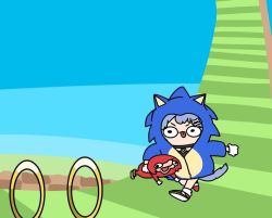 Rule 34 | afei (sfma3248), blue hair, blue sky, blue tail, chibi, gloves, grass, hololive, hood, hoodie, inugami korone, knuckles the echidna, ring (sonic), running, simple background, sky, sonic (series), sonic the hedgehog, tail, tongue, ugandan knuckles, virtual youtuber, white gloves