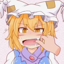 Rule 34 | 1girl, animal ears, animal hat, blonde hair, breasts, commentary request, disembodied limb, dress, face, fang, fox ears, hat, ko kage, large breasts, mob cap, mob cap, pov, pov hands, saliva, short hair, simple background, solo focus, tabard, touhou, white dress, yakumo ran, yellow eyes