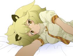 Rule 34 | 10s, 1girl, :&lt;, animal ears, bed sheet, beige shirt, blonde hair, blush, breast pocket, breasts, brown eyes, cat ears, collar, collared shirt, commentary request, eyebrows, eyelashes, fur collar, kemono friends, lion (kemono friends), lion ears, long hair, looking at viewer, lying, necktie, on side, ookamiuo, outstretched arm, plaid, plaid necktie, plaid neckwear, pocket, pov, puffy short sleeves, puffy sleeves, shirt, short sleeves, simple background, solo, tsurime, white background, white shirt
