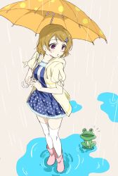 Rule 34 | 1girl, blonde hair, blue dress, boots, bracelet, coat, collarbone, curly hair, dress, frog, fuyuu310, hair ornament, hairclip, highres, holding, holding umbrella, hood, hooded coat, jewelry, knee boots, koizumi hanayo, looking at another, love live!, love live! school idol project, open clothes, open coat, parted lips, polka dot, puddle, purple eyes, rain, short hair, short sleeves, smile, umbrella, yellow coat, yellow umbrella