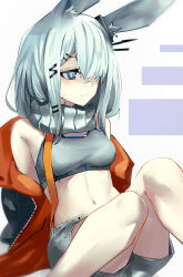 Rule 34 | 1girl, absurdres, alternate costume, animal ears, ao oni (onioni-aoi), arknights, bare shoulders, bright pupils, closed mouth, commentary request, enpera, feet out of frame, frostnova (arknights), grey eyes, grey hair, grey scarf, grey sports bra, hair ornament, hair over one eye, hairclip, highres, jacket, long hair, material growth, midriff, navel, one eye covered, orange jacket, oripathy lesion (arknights), rabbit ears, rabbit girl, scar, scar on face, scar on nose, scarf, shorts, sitting, solo, split mouth, sports bra, white background