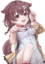 Rule 34 | 1girl, :d, absurdres, animal collar, animal ears, blush, bone hair ornament, braid, brown eyes, brown hair, coccocccco, collar, commentary, dog ears, dog girl, dog tail, dress, extra ears, fangs, hair between eyes, hair ornament, hairclip, highres, hololive, inugami korone, inugami korone (1st costume), jacket, knees up, long hair, looking at viewer, off shoulder, open clothes, open jacket, open mouth, paw pose, red collar, short dress, simple background, single bare shoulder, sleeveless, sleeveless dress, smile, solo, tail, thighs, translated, virtual youtuber, white background, white dress