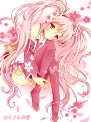 Rule 34 | 1girl, blush, boots, detached sleeves, flower, hair flower, hair ornament, hatsune miku, hugging own legs, long hair, necktie, panties, petals, picpicgram, pink footwear, pink hair, red eyes, sakura miku, smile, solo, striped clothes, striped panties, thigh boots, thighhighs, twintails, underwear, very long hair, vocaloid