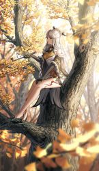 Rule 34 | autumn leaves, bare shoulders, black gloves, breasts, brown footwear, china dress, chinese clothes, claw ring, detached sleeves, dress, elbow gloves, forest, fur collar, fur trim, genshin impact, gloves, hair ornament, hair stick, hairpin, high heels, highres, holding, holding smoking pipe, in tree, large breasts, long hair, nature, ningguang (genshin impact), parted bangs, red eyes, sidelocks, silence girl, sitting, sitting in tree, smoking pipe, tassel, tree, very long hair, white dress, white hair
