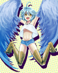Rule 34 | 1girl, ahoge, bare shoulders, blue feathers, blue hair, blue wings, breasts, commentary request, denim, denim shorts, dotted background, feathered wings, feathers, harpy, monster girl, monster musume no iru nichijou, navel, open mouth, papi (monster musume), short shorts, shorts, small breasts, solo, talons, tori smell, underboob, winged arms, wings, yellow background, yellow eyes