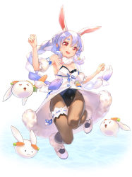 Rule 34 | &gt; &lt;, 1girl, :3, :d, absurdres, animal ear fluff, animal ears, blue hair, bow, braid, breasts, bridal garter, brown pantyhose, carrot, don-chan (usada pekora), dress, footwear bow, full body, fur-trimmed dress, fur trim, highres, hololive, illui desu, jumping, leotard, looking at viewer, multicolored hair, open mouth, pantyhose, pekomon (usada pekora), pom pom (clothes), rabbit ears, rabbit girl, red eyes, ribbon-trimmed garter, shoes, simple background, small breasts, smile, solo, twin braids, twintails, two-tone hair, usada pekora, usada pekora (1st costume), virtual youtuber, w arms, water, white background, white dress, xd