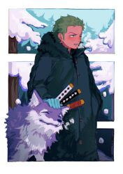 Rule 34 | 1boy, blue gloves, blush, coat, cropped legs, expressionless, fur-trimmed coat, fur trim, gloves, green hair, highres, looking to the side, male focus, multiple swords, one piece, open mouth, petting, roronoa zoro, short hair, smile, snow, snow on tree, sword, teeth, towne, tree, upper teeth only, v-shaped eyebrows, weapon, winter clothes, wolf