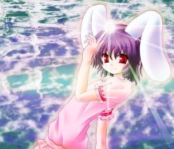 Rule 34 | 1girl, animal ears, rabbit ears, cloud, female focus, inaba tewi, lens flare, outdoors, sky, solo, touhou
