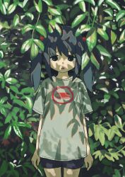 Rule 34 | 1girl, absurdres, arms at sides, black eyes, black hair, black shorts, branch, cowboy shot, dappled sunlight, day, expressionless, foliage, grey shirt, hair bobbles, hair ornament, highres, leaf, looking at viewer, nerio (neri akira), open mouth, original, outdoors, print shirt, shade, shirt, short shorts, short sleeves, shorts, sidelocks, solo, standing, straight-on, sunlight, t-shirt, tareme, twintails