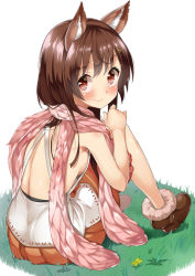 Rule 34 | 10s, 1girl, animal ears, aster (granblue fantasy), back, blush, breasts, brown hair, dog ears, erune, granblue fantasy, long hair, looking back, mamedenkyuu (berun), red eyes, scarf, sideboob, sitting, small breasts, smile, solo