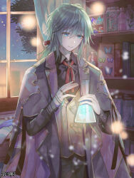 Rule 34 | 1boy, aqua eyes, black pants, black ribbon, black shirt, bone, book, bookshelf, bottle, buttons, cloak, clona, closed mouth, collared shirt, cowboy shot, crystal, dairoku ryouhei, diamond button, erlenmeyer flask, flask, framed insect, glowing, green hair, hair between eyes, hair ribbon, holding, holding flask, indoors, jar, jewelry, light particles, long hair, looking at object, looking down, low ponytail, male focus, muntins, neck ribbon, night, pants, paper, purple cloak, purple vest, quill, red ribbon, ribbon, ring, shirt, sidelocks, smile, solo, standing, tree, vest, wilhelm fatius, window