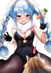 Rule 34 | 1girl, :d, animal ears, bare arms, black gloves, black leotard, blue hair, blush, bow, braid, breasts, card, carrot hair ornament, cat, cat ears, cleavage, covered navel, cowboy shot, floppy ears, food-themed hair ornament, fur-trimmed gloves, fur scarf, fur trim, gloves, hair between eyes, hair bow, hair ornament, hands up, holding, hololive, legs apart, leotard, long hair, looking at animal, lower teeth only, multicolored hair, open mouth, orange eyes, pantyhose, playboy bunny, playing card, rabbit-shaped pupils, rabbit ears, scarf, short eyebrows, sidelocks, simple background, sitting, small breasts, smile, solo, strapless, strapless leotard, symbol-shaped pupils, teeth, terra bose, thick eyebrows, twin braids, two-tone hair, usada pekora, usada pekora (1st costume), virtual youtuber, white background, white bow, white hair, white scarf