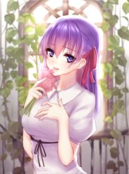 Rule 34 | 1girl, backlighting, bad id, bad pixiv id, black ribbon, blurry, blush, breast suppress, breasts, depth of field, eyebrows, fate/stay night, fate (series), flower, hair between eyes, hair ribbon, holding, holding flower, light particles, long hair, looking at viewer, matou sakura, meaomao, official alternate costume, parted lips, plant, puffy short sleeves, puffy sleeves, purple eyes, purple hair, red lips, red ribbon, ribbon, short sleeves, smile, solo, upper body, vines