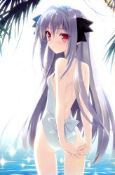 Rule 34 | 1girl, absurdres, arms behind back, ass, backless outfit, bare back, bare shoulders, breasts, casual one-piece swimsuit, from behind, gradient background, grey hair, highres, long hair, looking at viewer, looking back, one-piece swimsuit, red eyes, sakurakouji luna, scan, small breasts, solo, suzuhira hiro, swimsuit, tsuki ni yorisou otome no sahou