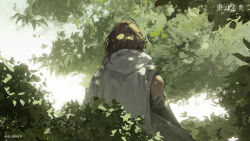 Rule 34 | 1boy, brown hair, copyright name, copyright notice, dappled sunlight, facing away, from behind, getian (reverse:1999), highres, leaf, logo, male focus, medium hair, official art, official wallpaper, reverse:1999, shirt, single bare shoulder, sky, solo, sunlight, tree, upper body, white shirt, white sky