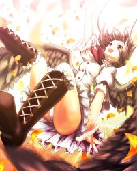 Rule 34 | 1girl, arm up, bad id, bad pixiv id, boots, brown hair, cross-laced footwear, female focus, fuepo, highres, lace-up boots, leaf, looking up, open mouth, panties, pantyshot, shameimaru aya, short hair, skirt, smile, solo, touhou, underwear, upskirt, white panties, wings